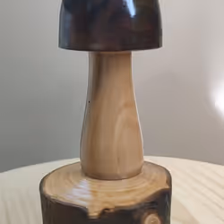 42591448628387589718515734944531957498422302701531104305965944564669206233089