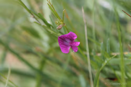 Item #42460190641030983846177695305308234121494395737519988694849075171429818826758 Media