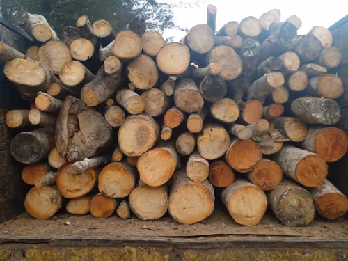 Item #102006201378976520734460731776155729887307616800660626474018585901288873000961 Media