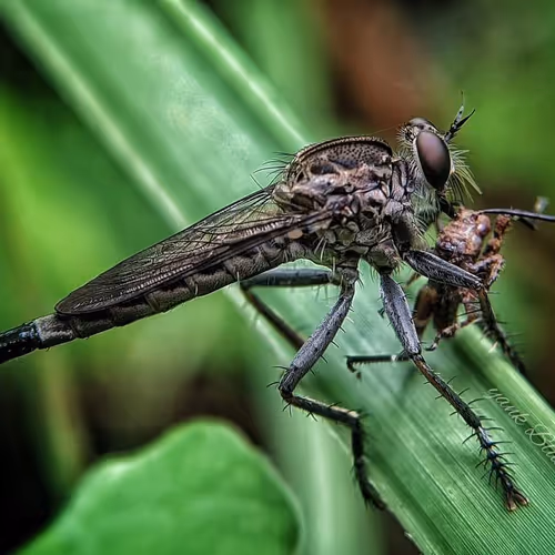 Untitled Collection #81106847