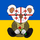 Soldierkoala