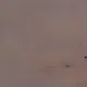 49169151516000133806029922768740760565163816702957134179432489980305082417153