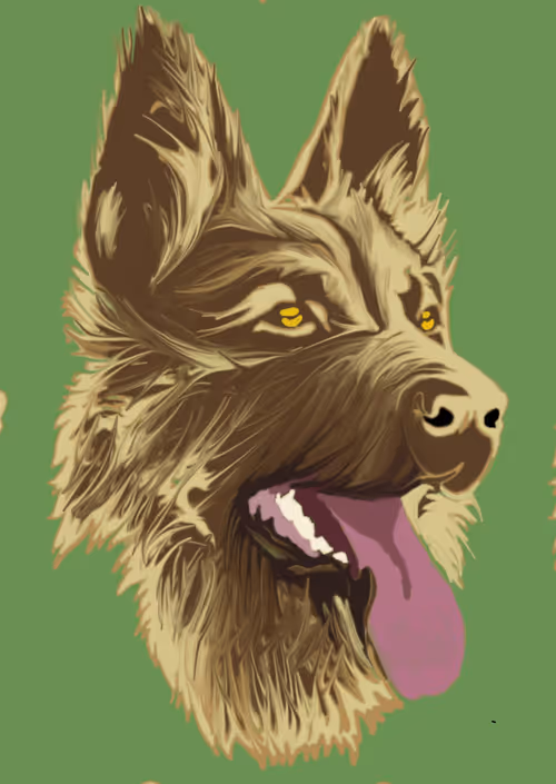 Item #53974678015462412542191434764117322315255018384542892649998052549559993761793 Media