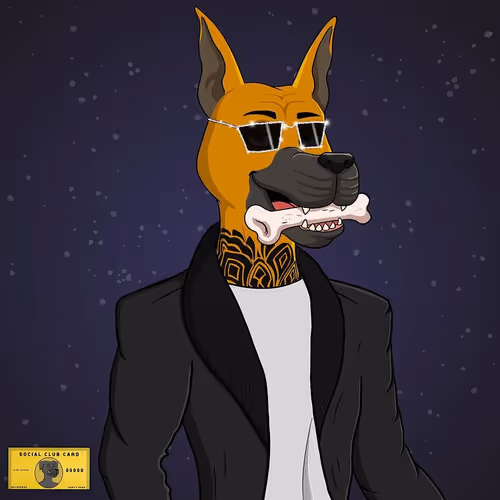  Party Dog Social#NEW
