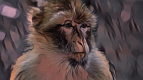 Item #54593652383459731767777383320415424164820202733853921615926635504630614720513 Media