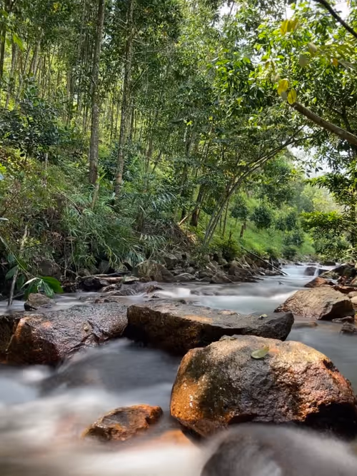 Item #103388145418380056748041599126253319865479008905654285321469462656630235594753 Media