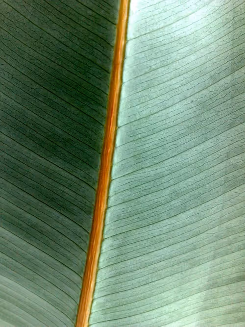 Item #82712815971244092813465389762182899895907359824221698107808348021347592437761 Media