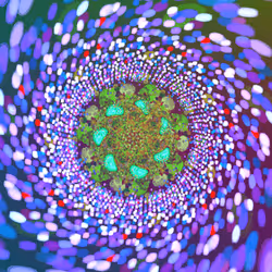 50684197605774142208935566748693813750684281578315025193761267654123604410369