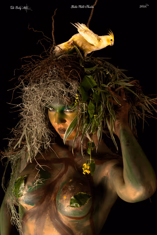 Item #22903998292597646636474096852405131883501866736470564428538884491328738033674 Media