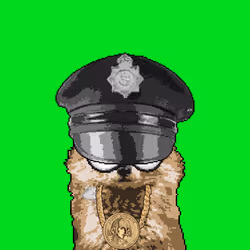 13313825994980351745506845005889443412334519340224243119891185113365731082241