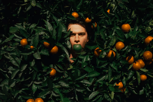 Item #78290495778488024413402900412975028234166831643233263215137554383560150876161 Media