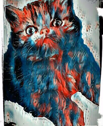 Untitled Collection #239633950