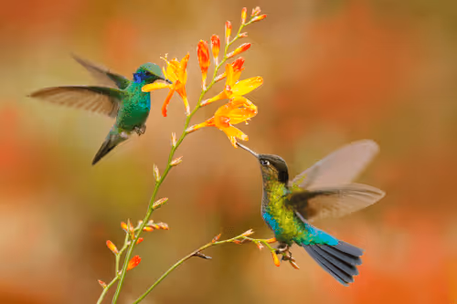 Item #25621925064279012681246301446131385931262547461970292834419122484976021405697 Media