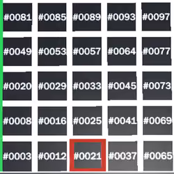 12436507680622012218933764955924765843919919410724236092571881898333335191553