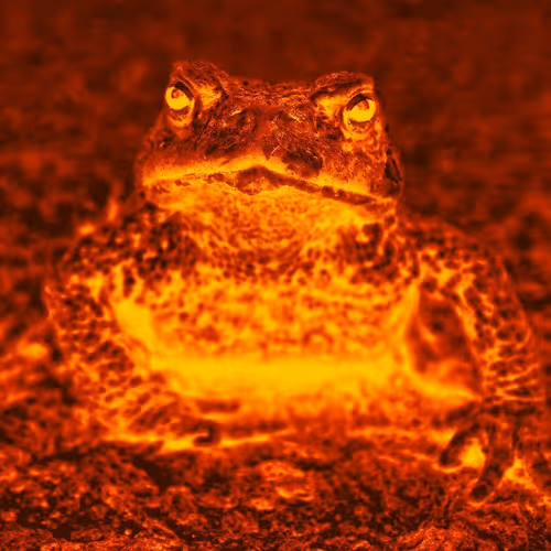 Untitled Collection #45206089