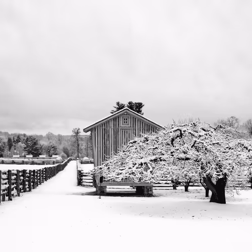 15081463501546268006596121588316872326209313817998412847676537114928898637825