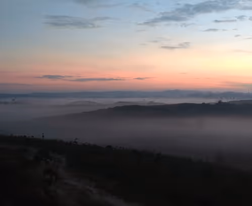 Untitled Collection #218459768