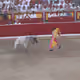 105803284940522508779092123895649405960988255467637344057016171258628024565761