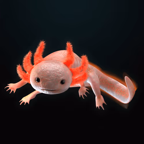 Item #39982110375740153587505644478940195082872270202471884348459982191980219203585 Media