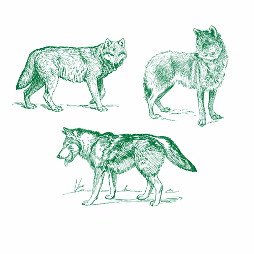 Item #25506781774429673479118459037672467037102609755826934466658808706237464576001 Media