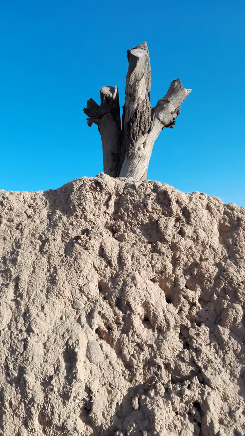 Item #71783453458607510737296471841867983382980629409983277105935523590319156232193 Media