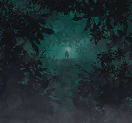 Forest Fog