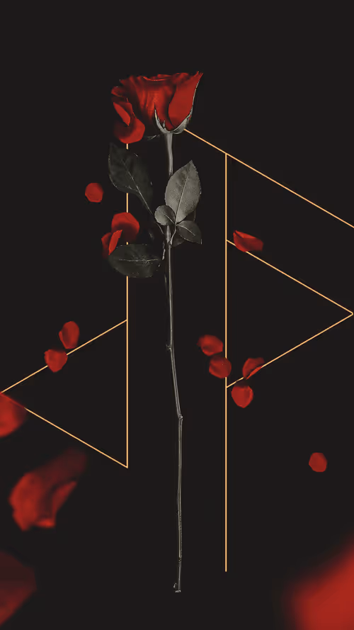 Item #27001617039666800610737878082881089531082949120321246558763274925225575186433 Media