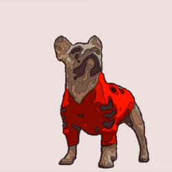 Dogelative Secret Society - NFT Collection - Super Rare K