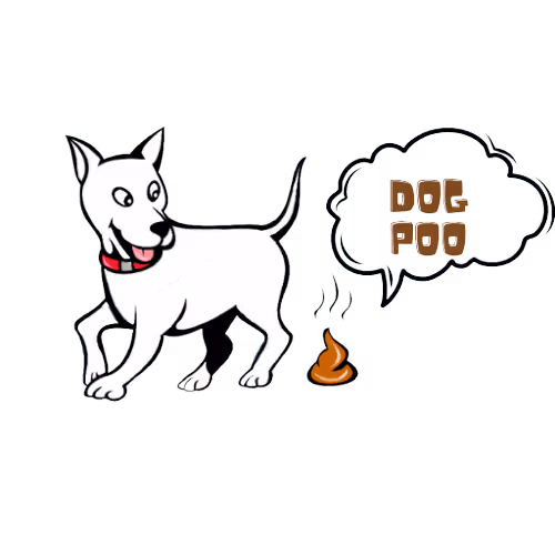 Item #105050761401497191004773539515645462106008427788240903317161599063926738255873 Media