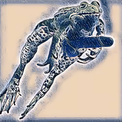 Frog Penis # 31