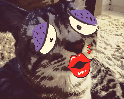 Item #102990755133681336973323726902387438189874559579215809482716478159041018724362 Media