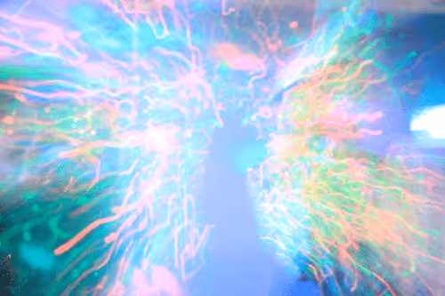 Item #25388429571187189400142896144030193801342767201083735738326485253008643850241 Media