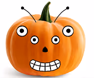 Item #56541355236344878448504821047114022091934869483543958007403548033485046284289 Media