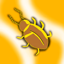 Yellow shadow Roach