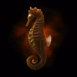 seahorse club #012