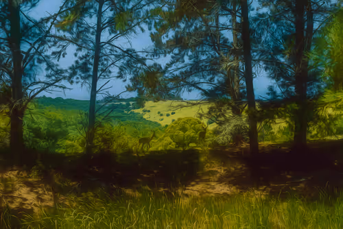 Item #110843191158220311663408589832334873758913224296124318855589226645033242853381 Media