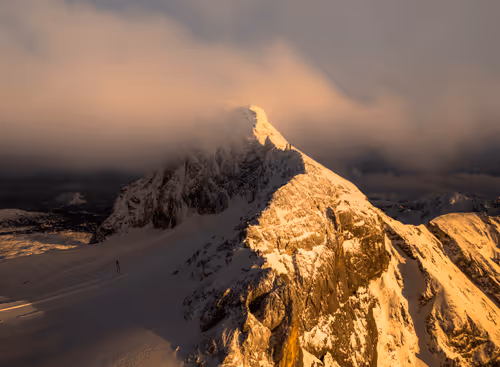 Item #26636344578717920692700769935313843753450649801489178954925375893335256858634 Media