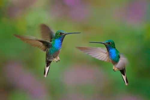 Item #25621925064279012681246301446131385931262547461970292834419122495971137683457 Media