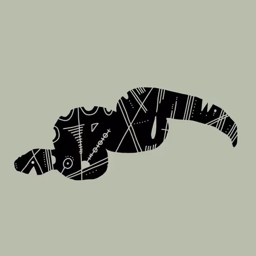 Item #23719157219344405114565846685502868048607638057936986317710031346829455523841 Media