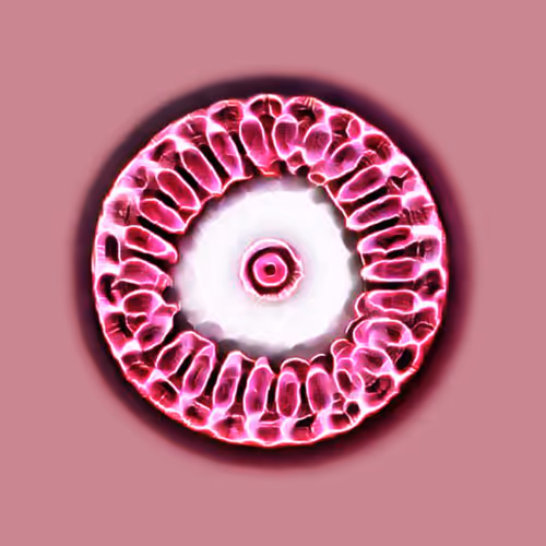 Item #76890309982572414559524539652653274915372995696638965878349557293435035058177 Media