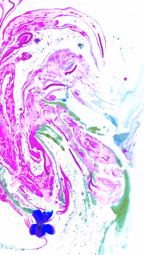 Item #100215834348252495882822669410041435854807957610066919475091088292158730403841 Media