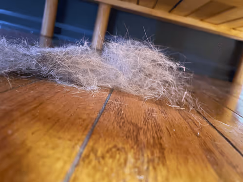 Item #14299885194444249230251394746718666348048085931978798496105312408972189237249 Media