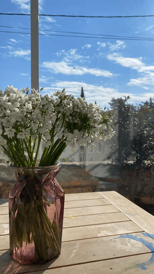 Item #111158536575529838927144910065951876068263589841925600157506869941896636006401 Media