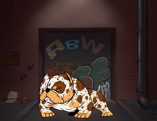 99947520248706494812773634078367873205673484717388873773815583132992428572673