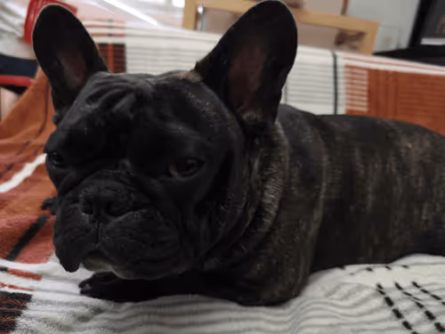 Untitled Collection #376627154