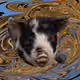 53180631642456764738139299674940583640479914081960747744151190414988006129665