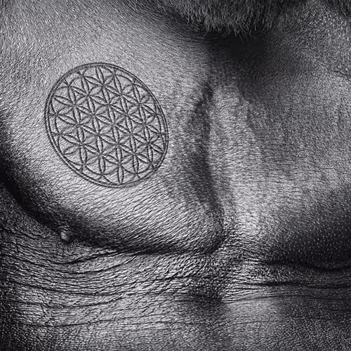 Item #1404736516812143796737347139805797685976196264274011436096350905295616081921 Media