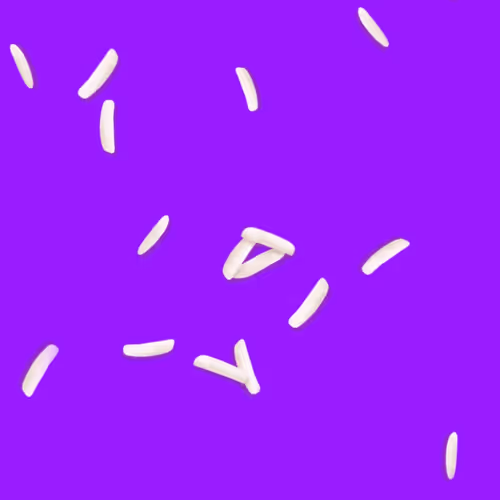 Ricegrains Zip7F9vsae