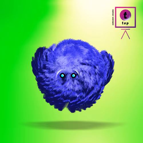 Item #79586897134334026379883774957636880963508863725534243912694411020631130767361 Media