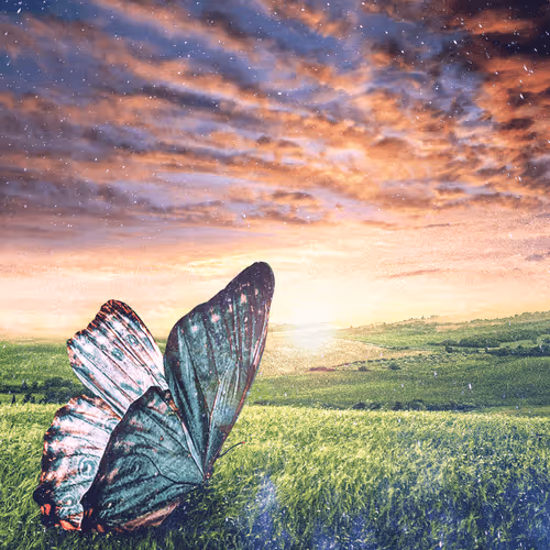 Item #59646891752723899406110743616803786993980577716002236556631688921480192589825 Media